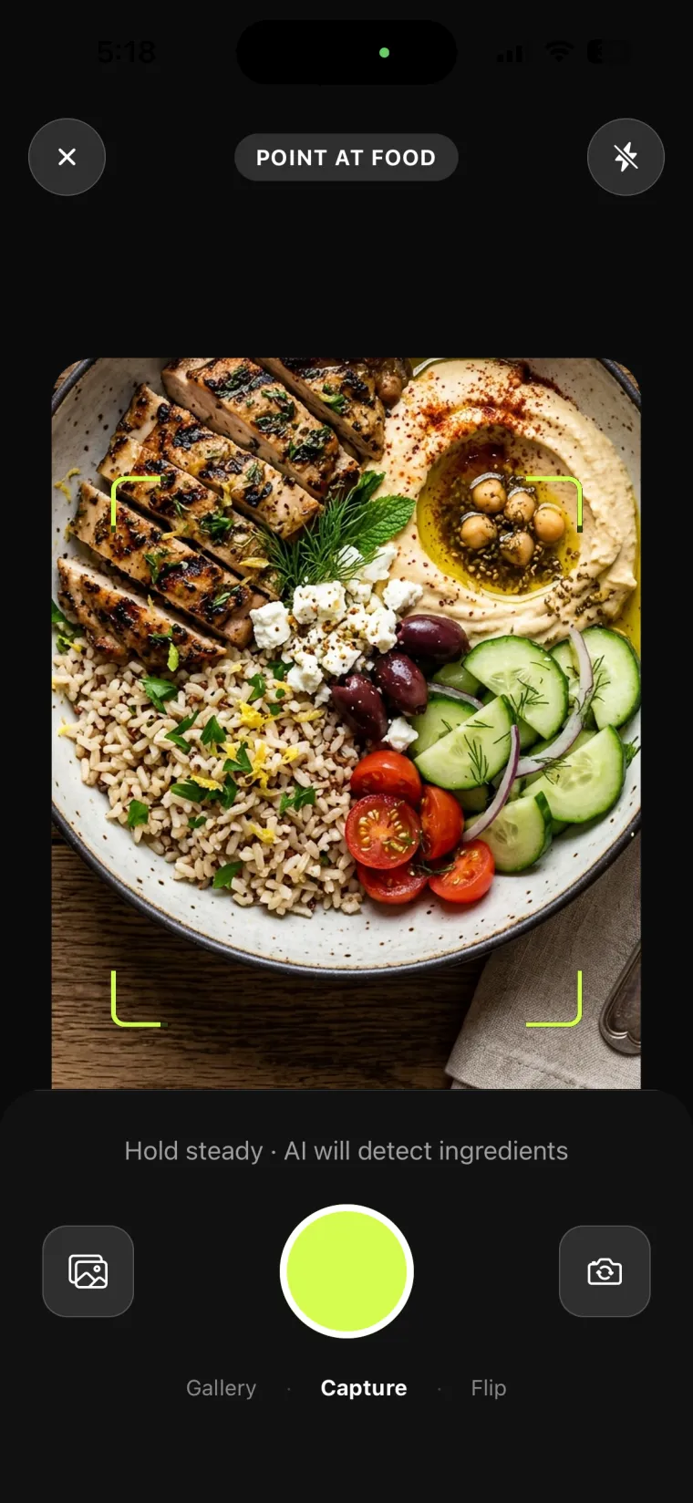 LoopCal scan screen capturing a meal